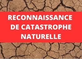 Reconnaissance de catastrophe naturelles