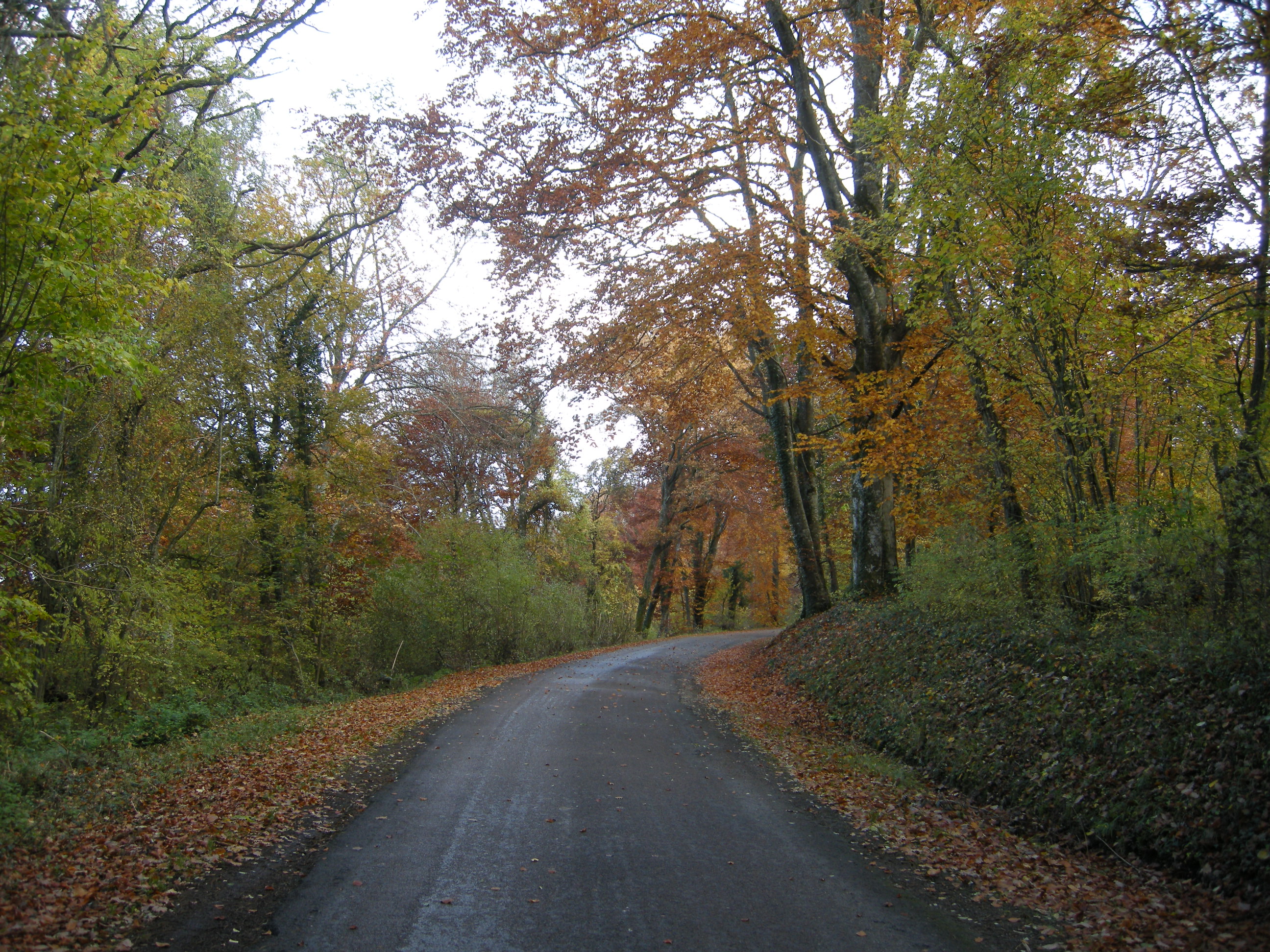 La Forêt d'Othe